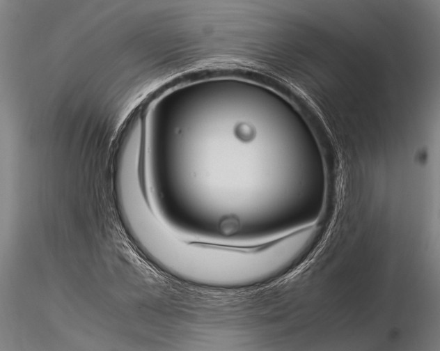 X0000116370973200912161434