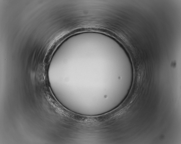 X0000116370974200912161434