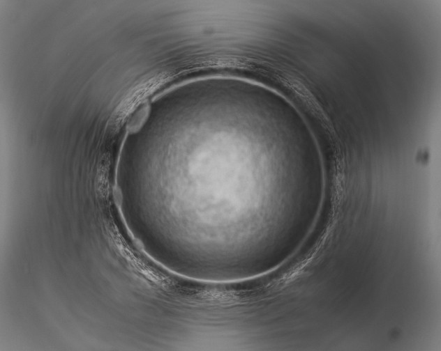 X0000116370977200912161434