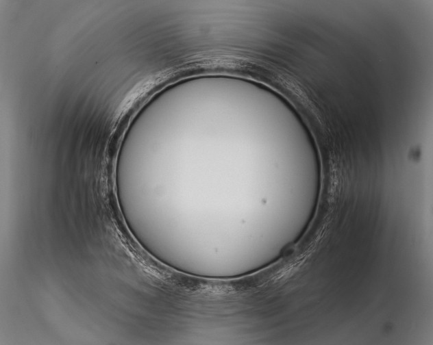 X0000116370978200912161434