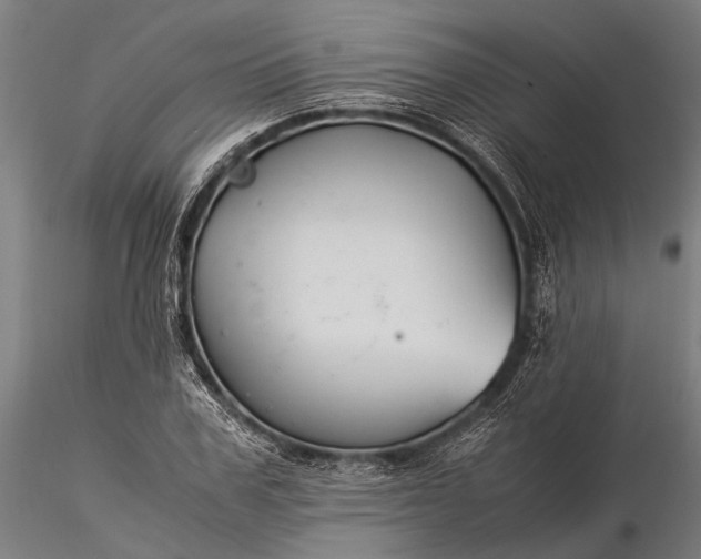 X0000116370979200912161434