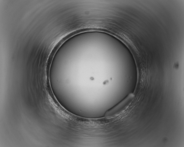 X0000116370980200912161434