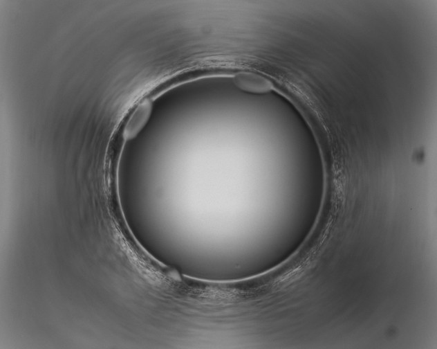 X0000116370981200912161434