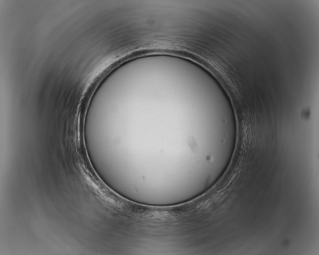 X0000116370982200912161434