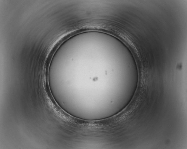 X0000116370984200912161434