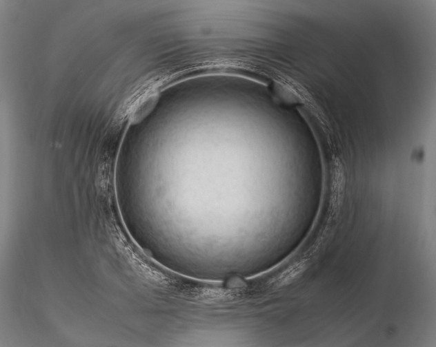 X0000116370985200912161434