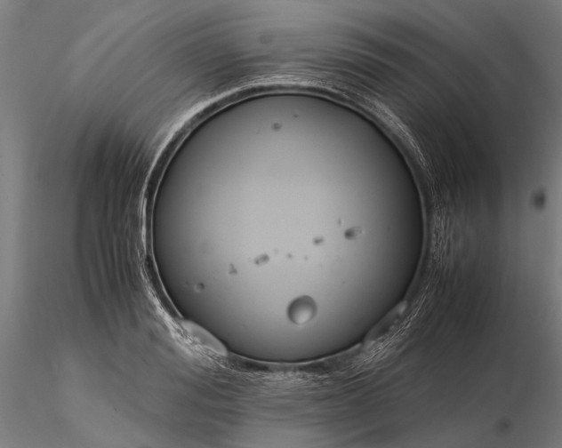 X0000116370988200912161434