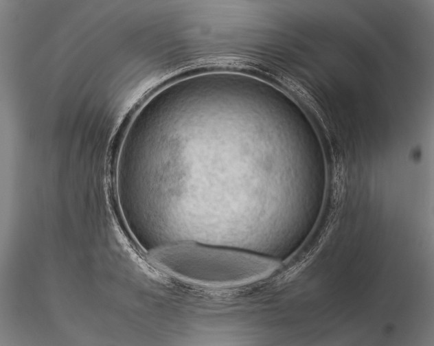 X0000116370989200912161434