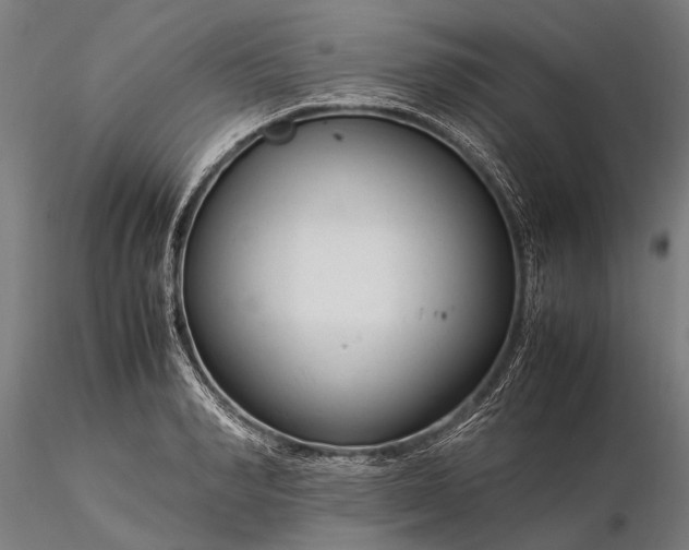 X0000116370990200912161434