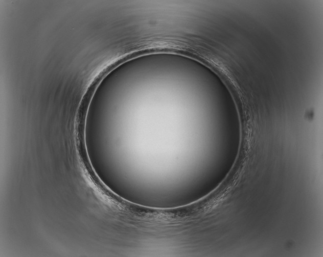 X0000116370991200912161434