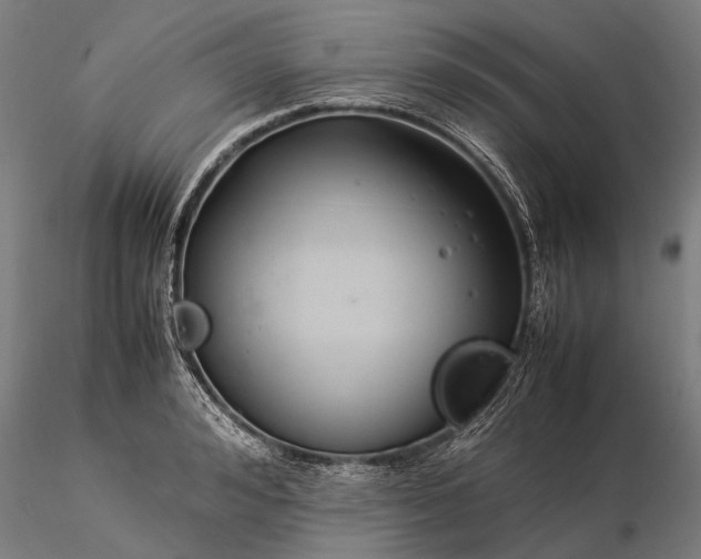 X0000116370992200912161434