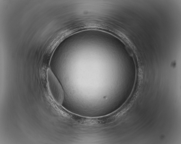 X0000116370993200912161434