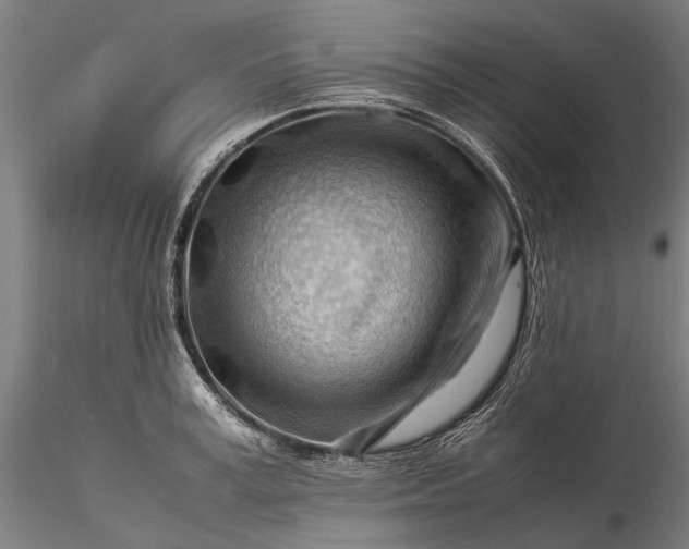 X0000116370995200912161434