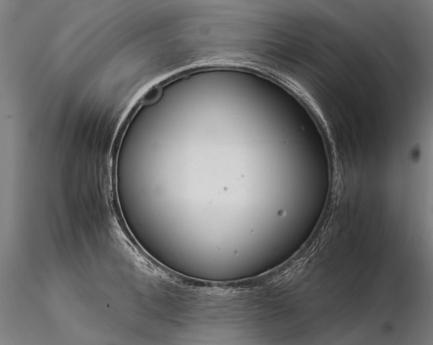 X0000116370996200912161434