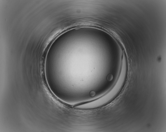 X0000116370997200912161434