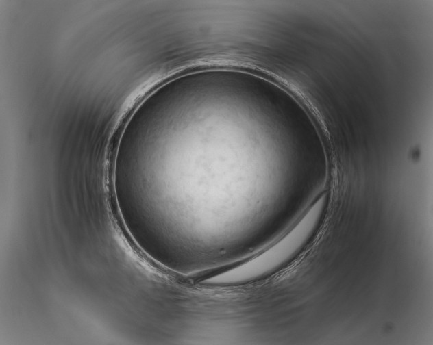 X0000116370998200912161434