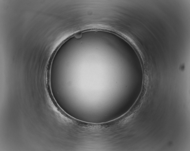 X0000116370999200912161434