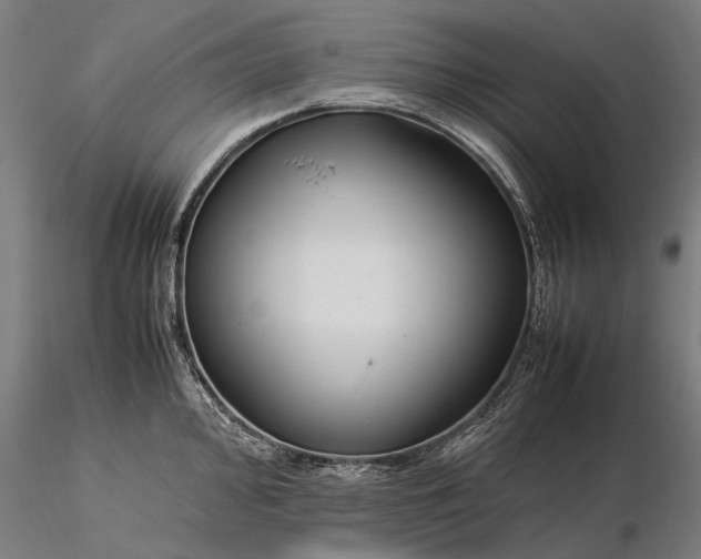 X0000116371000200912161434