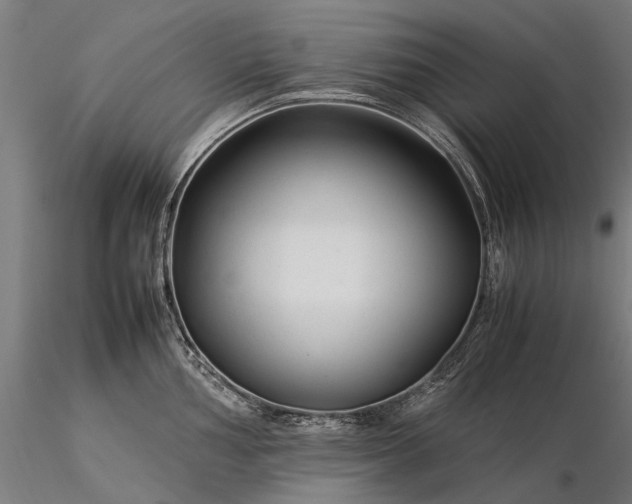 X0000116371002200912161433