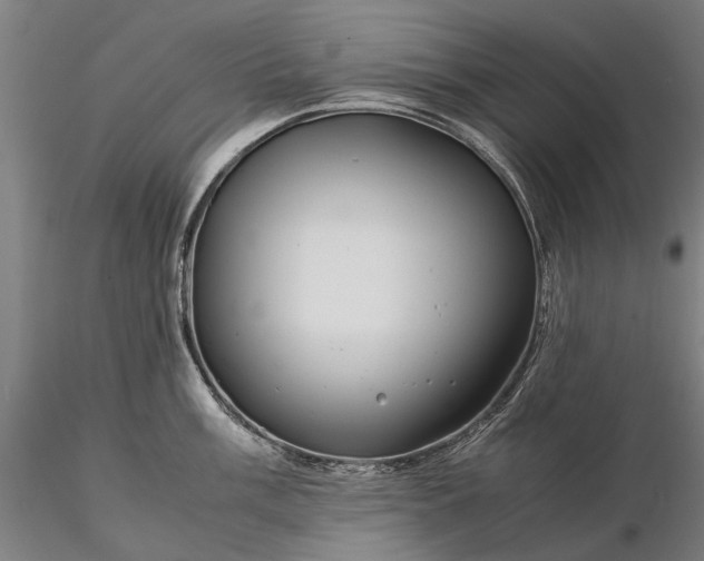 X0000116371003200912161433