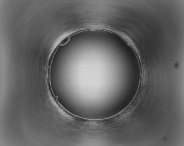 X0000116371005200912161433