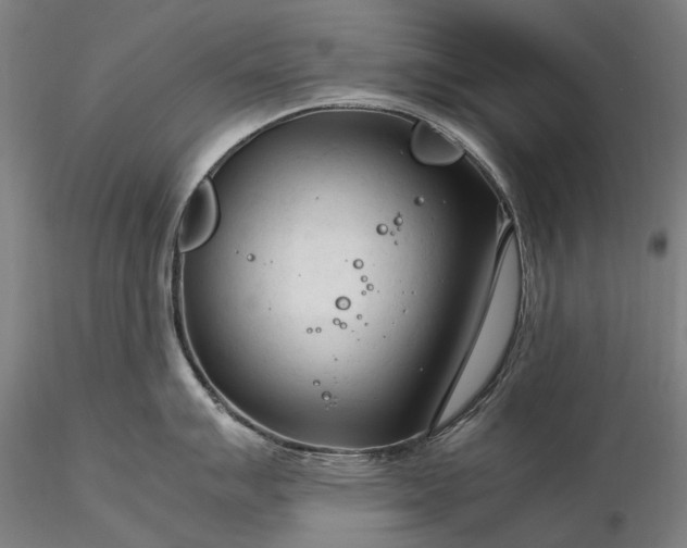 X0000116371007200912161433