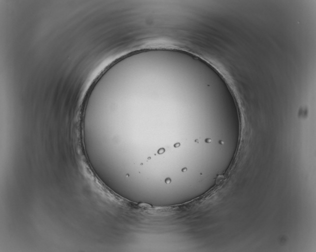 X0000116371008200912161433