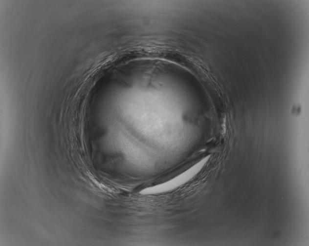 X0000116371009200912161433