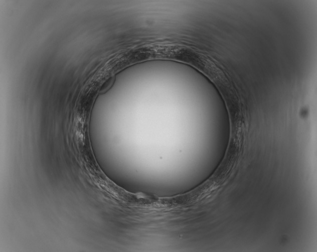 X0000116371010200912161433