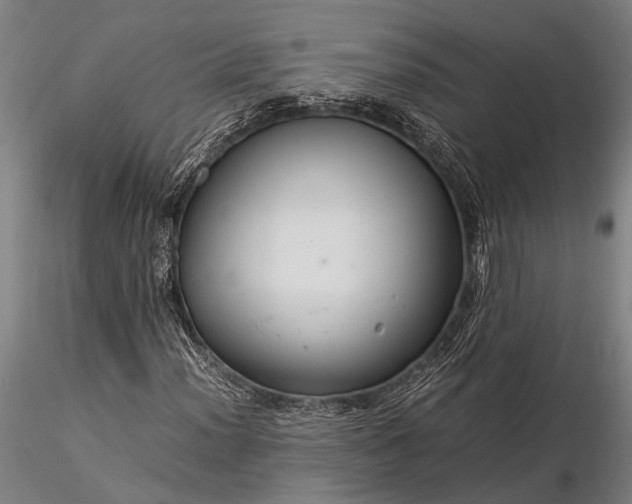 X0000116371012200912161433