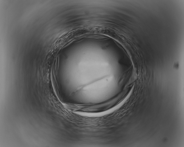 X0000116371013200912161433