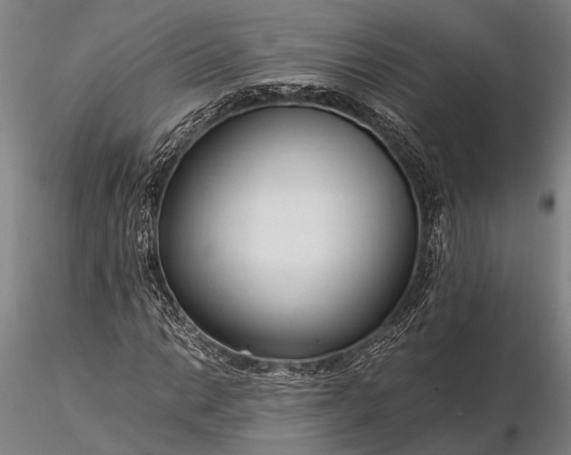 X0000116371014200912161433