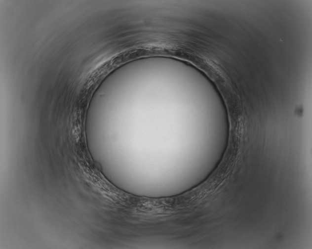 X0000116371015200912161433