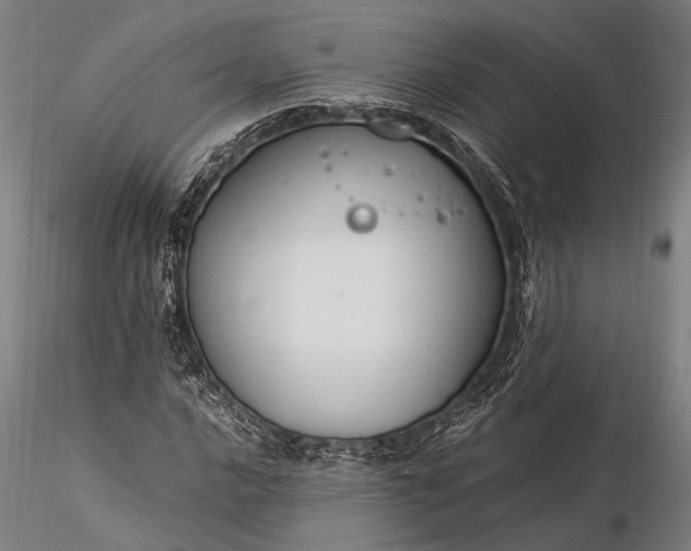 X0000116371016200912161433