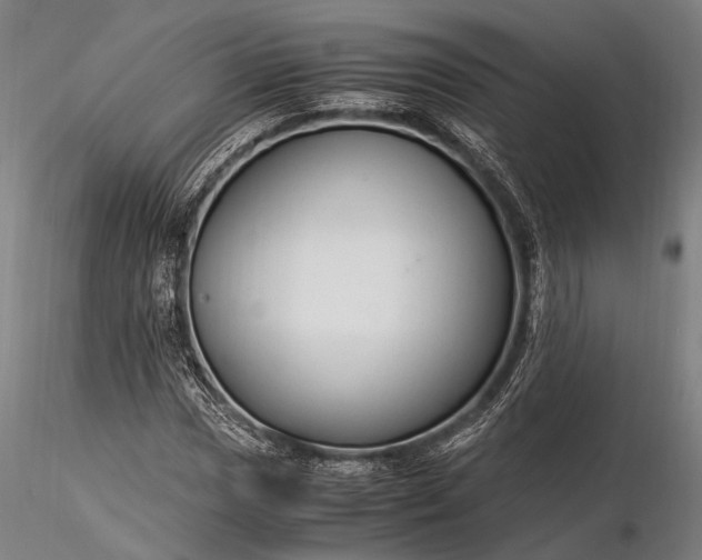 X0000116371017200912161433