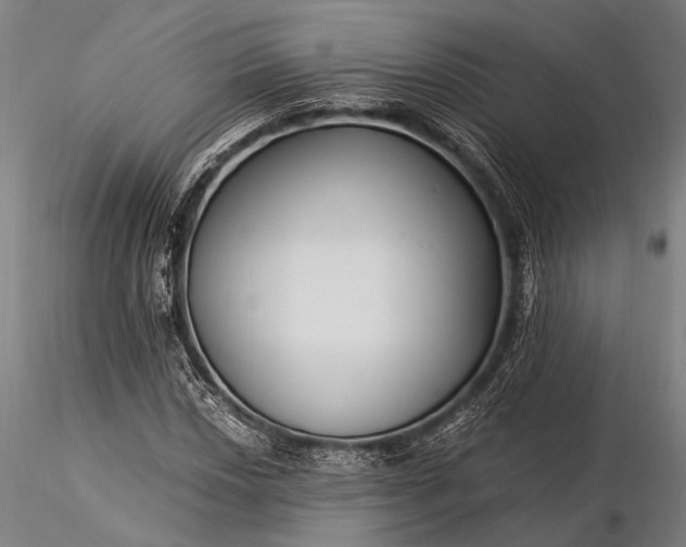 X0000116371018200912161433