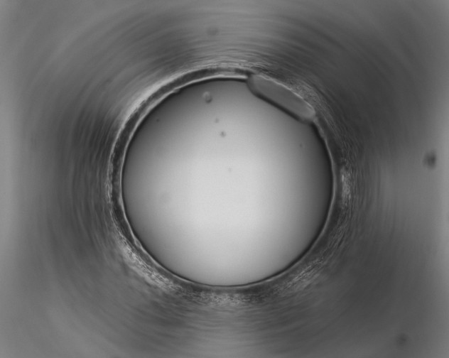 X0000116371020200912161433