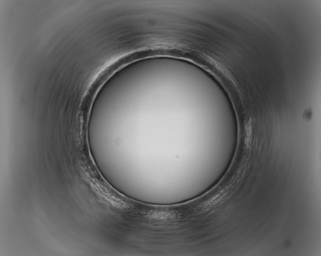 X0000116371021200912161433