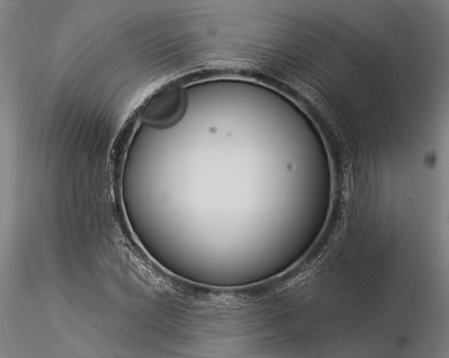 X0000116371022200912161433