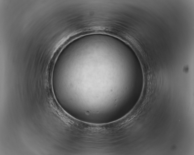 X0000116371023200912161433