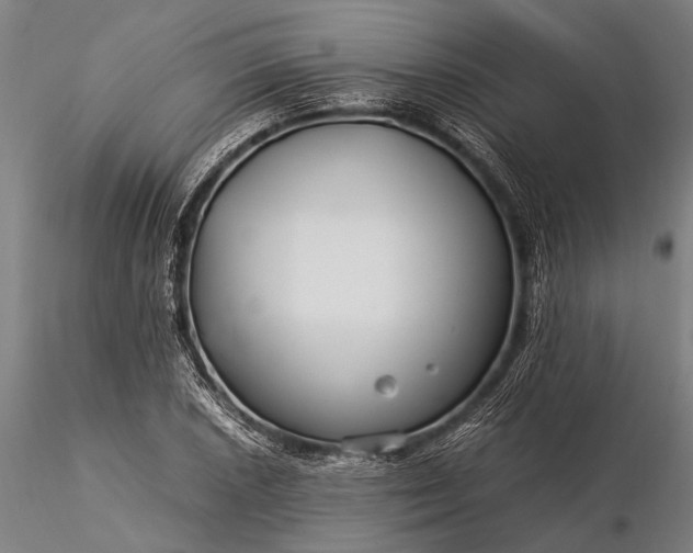 X0000116371026200912161433