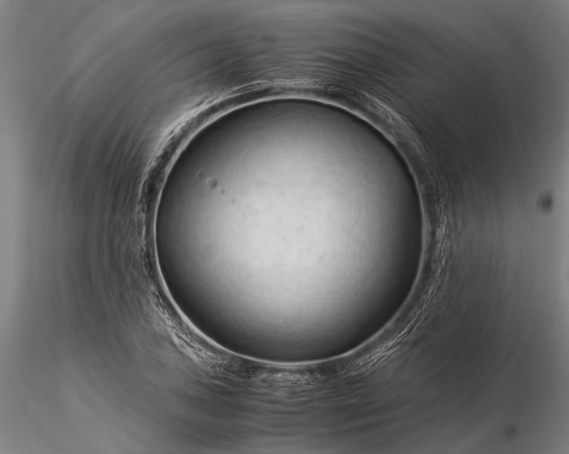 X0000116371027200912161433