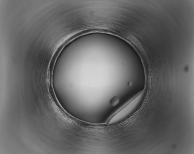 X0000116371028200912161433