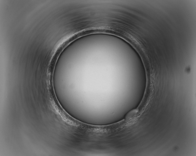 X0000116371029200912161433