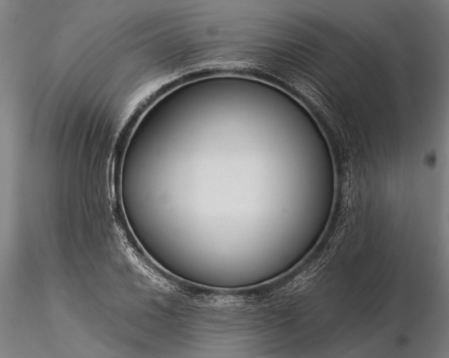 X0000116371030200912161433