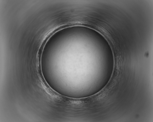 X0000116371031200912161433