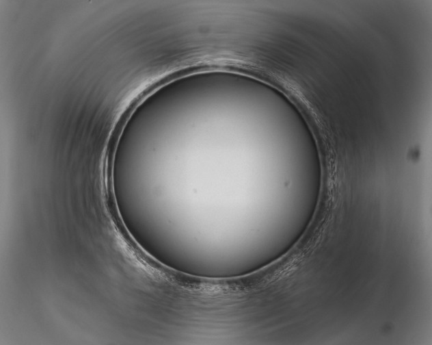 X0000116371032200912161433