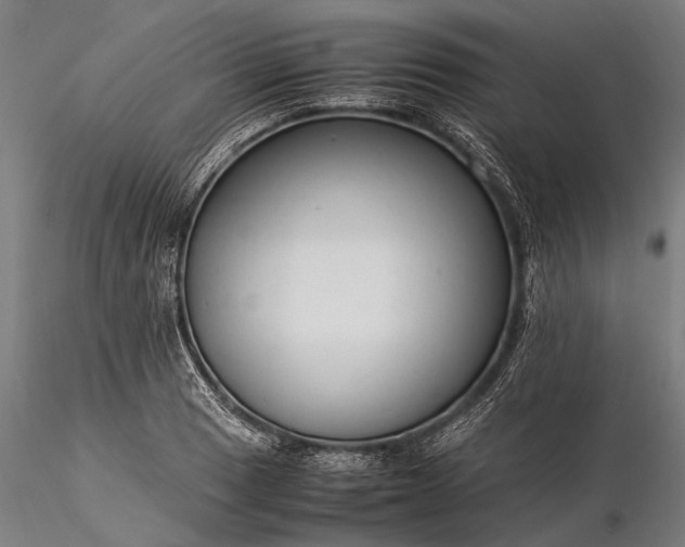 X0000116371033200912161433