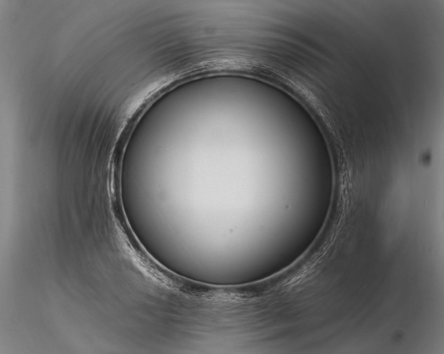 X0000116371034200912161433