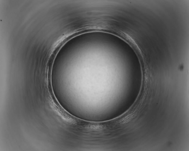 X0000116371035200912161433